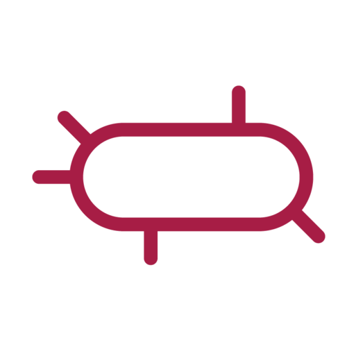 Vi khuẩn và Virus