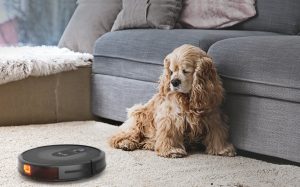 Máy hút bụi tốt nhất cho gia đình có vật nuôi