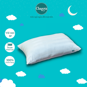 Gối nằm 50 x 70 cm Chagota